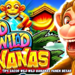 Tips Gacor Wild Wild Bananas Panen Besar